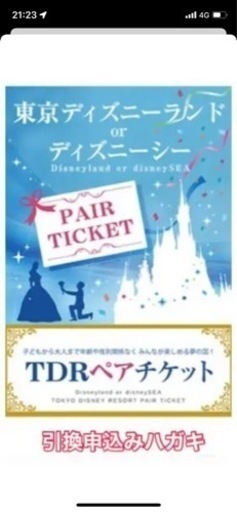 東京ディズニーリゾート 1DAYペアチケット交換依頼ハガキ chateauduroi.co