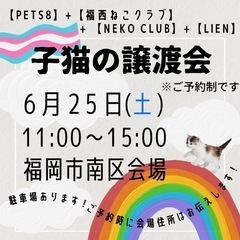 子猫ふれあい譲渡会♫in福岡市南区会場