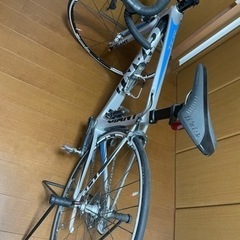 ジャイアントTCRアドバンマド0