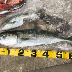 【7月末終了】釣具　ショアジギタックル　シマノ