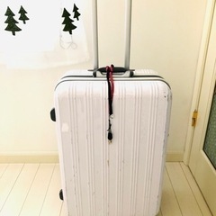 決まりました　トラベルスーツケース　ホワイト　