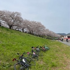 関東で、ロードバイク🚴‍♂️で一緒に走ろう‼️まだ少人数です💦