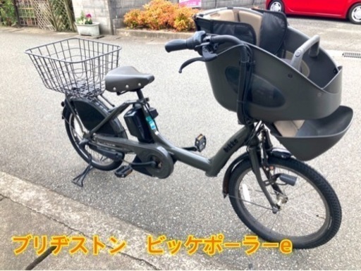 ビッケポーラー