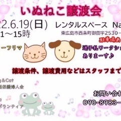 東広島市　犬猫譲渡会