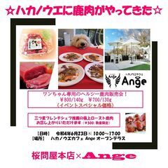 ワンコ用鹿肉試食＆販売。女将特製ドレッシング付の鹿肉ロースト（￥...