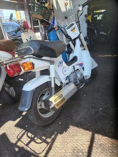 シャリー50