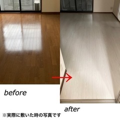 【購入者さん決定しました🙇🏼‍♀️】