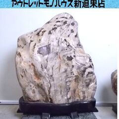 珪化木 木の化石 56kg 台座付き 鑑賞石 天然石 原石 鉱物...