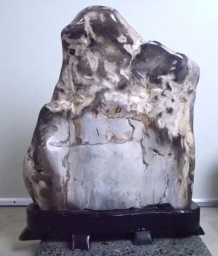 珪化木 木の化石 56kg 台座付き 鑑賞石 天然石 原石 鉱物 北海道 