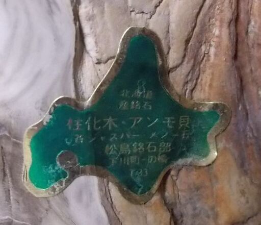 珪化木 木の化石 56kg 台座付き 鑑賞石 天然石 原石 鉱物 北海道 珪化木 木の化石 56kg 台座付き 鑑賞石 天然石 原石 鉱物 北海道
