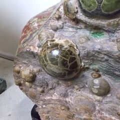 鑑賞石 45kg 台座付き 玉髄 貝 貝殻 天然石 原石 鉱物 北海道 置物 オブジェ 札幌市東区 新道東店 鑑賞石 45kg 台座付き 玉髄 貝 貝殻 天然石 原石 鉱物 北海道 置物