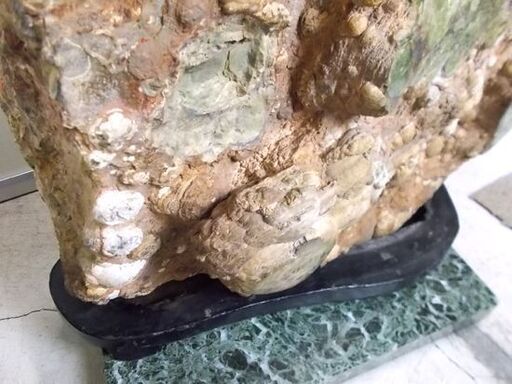 鑑賞石 45kg 台座付き 玉髄 貝 貝殻 天然石 原石 鉱物 北海道 置物 鑑賞石 45kg 台座付き 玉髄 貝 貝殻 天然石 原石 鉱物 北海道 置物