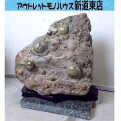 鑑賞石 45kg 台座付き 玉髄 貝 貝殻 天然石 原石 鉱物 ...