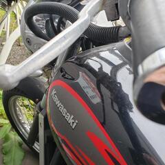 エリミネーター　画像確認用