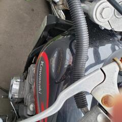 エリミネーター　画像確認用