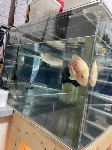 1200水槽、浄水器、濾過器、ヒーター　 1200水槽、浄水器、濾過器、ヒーター 【公式通販】