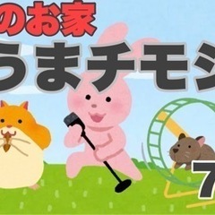 【着払い】チモシー7kg【送料無料も有】