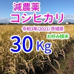 コシヒカリ 30kg 減農薬 茨城県 令和3年(2021) 米 ...