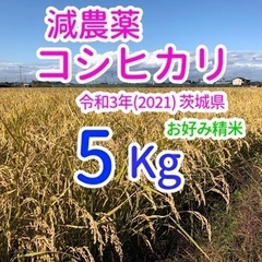 コシヒカリ 5kg 減農薬 茨城県 令和3年(2021) 米 お...