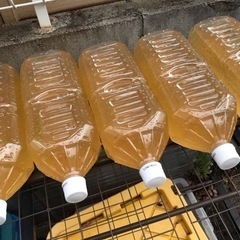 めだか飼育の味方EM活性液　約900ml