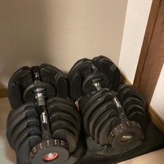 アジャスタブルダンベル40kg×2、ディップスタンド