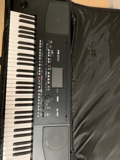 その他 pa 300 organ