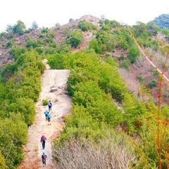 ハイキング仲間募集⛰✨　8/7で近場を計画中♪