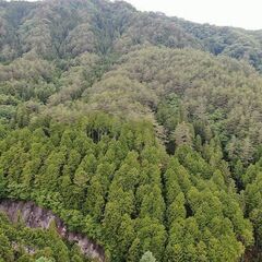 【成約済】山林物件091 長野県下伊那郡阿南町の画像