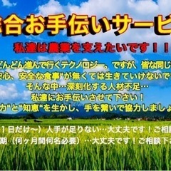 日払い‼️７月１日〜4ヶ月程‼️