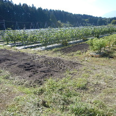 【貸地】日光市瀬川の農地・家庭菜園を行いたい方にお勧め！