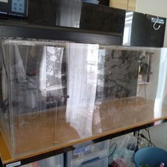 アクリル水槽（1200✕600✕450）と水槽台