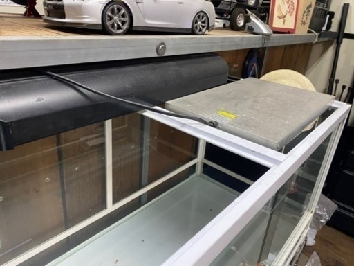 爬虫類 蛇 トカゲ 飼育セット