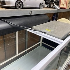 爬虫類　蛇　トカゲ　飼育セット