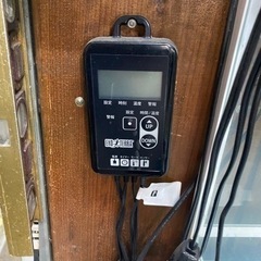 爬虫類　蛇　トカゲ　飼育セット