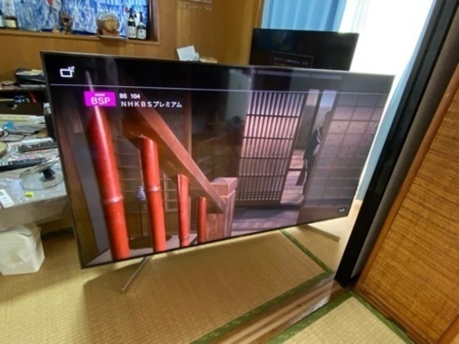 テレビ　65