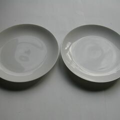 お皿２枚　ＮＯ１１　最大４００円値引