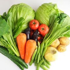 野菜の規格分け作業　1250円　（斜里町）