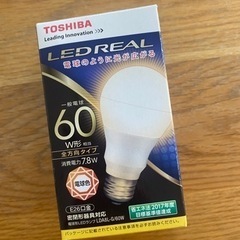 TOSHIBA LEDREAL 60W