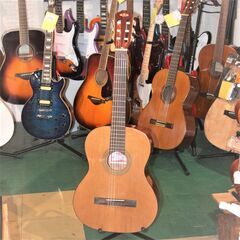 新品　KALA　クラシックギター　KA-GTR-NY25