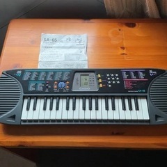 CASIO SA-65GY Song Bank Keyboard...