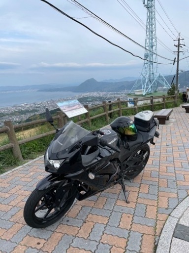 その他 Ninja 250r