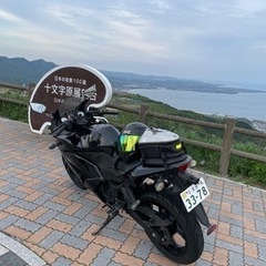 Ninja 250r 