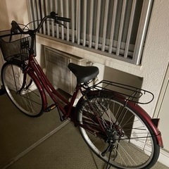 自転車　0円