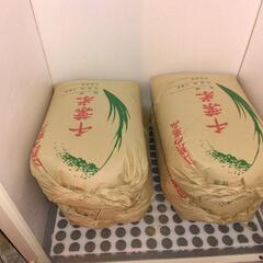 R3年度産コシヒカリ(玄米30kg)6000円❗おまけ付❗