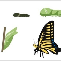 ありがとうございました😊✨🦋❁︎*:アゲハ蝶の幼虫🐛