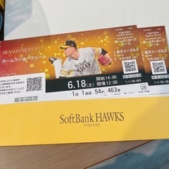 本日 6/18野球チケット ホームランホークシート 2枚 福岡P...