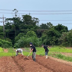 畑プロジェクト！菌ちゃん先生農法に興味ある方！！in 沖縄👨‍🌾の画像