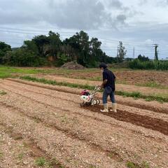 畑プロジェクト！菌ちゃん先生農法に興味ある方！！in 沖縄👨‍🌾 − 沖縄県