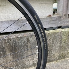 ビアンキ　インプルソ　105 サイズ50