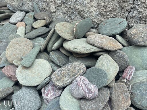 直接引き取り限定◇大量！四国の青石◇入手困難◇お早めにどうぞ！